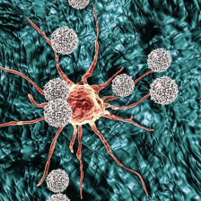 immune cells attacking a tumor