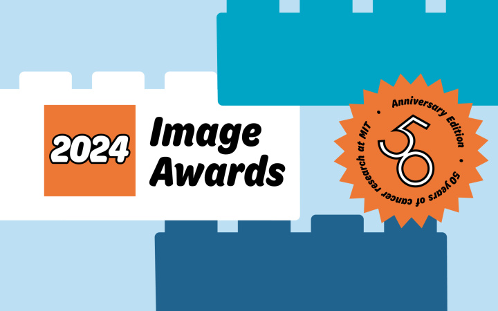 Image Awards logo designed to look like a lego box