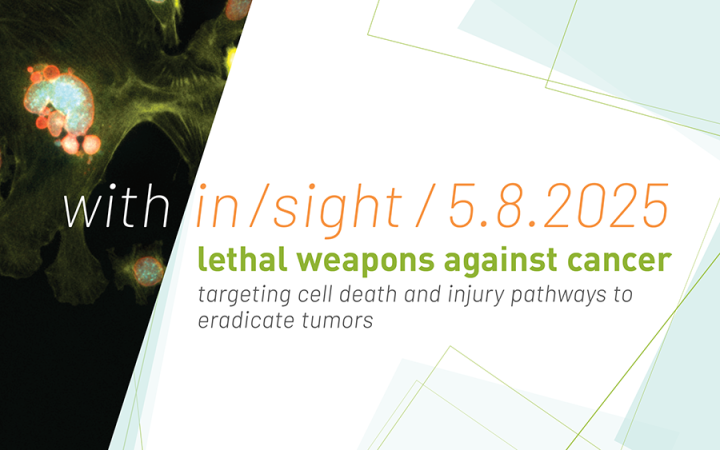 with/in/sight poster with image of cancer cells with multiple nuclei