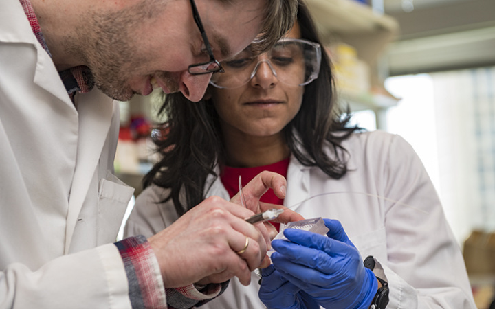 two lab researchers work on a small device