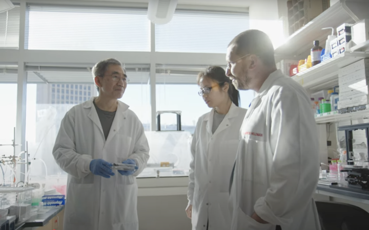 Three scientists conversing in a sunlit lab