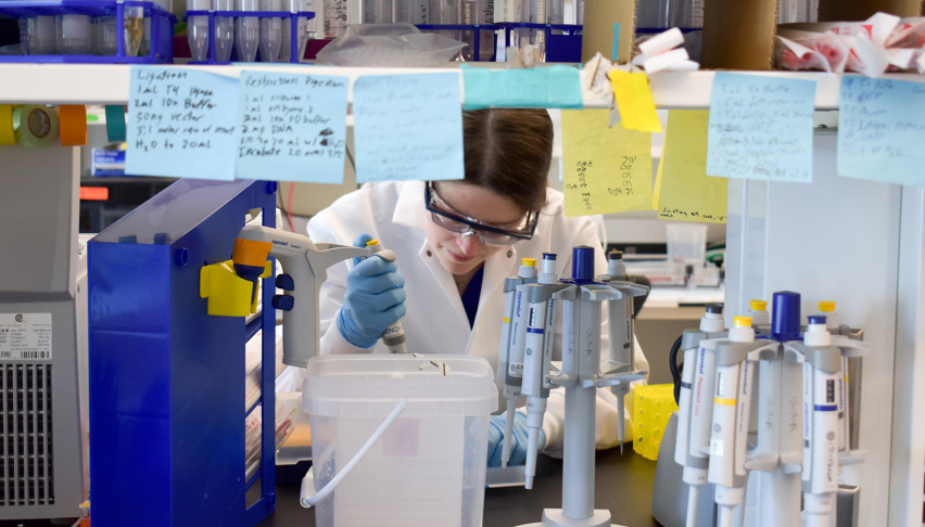 woman at lab bench surrounded by pipettes and post-its