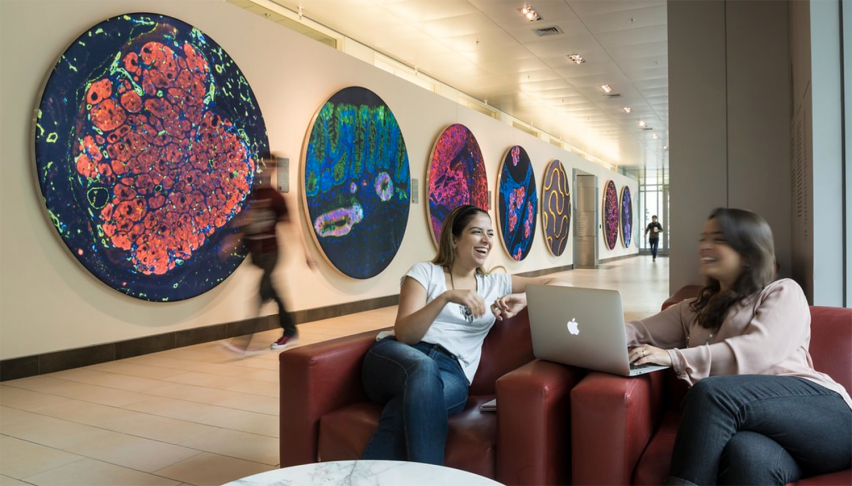 Two seated people chatting in the Koch Institute Galleries