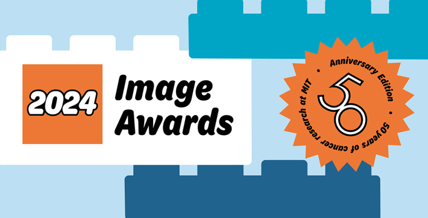 2024 Image Awards 50th Anniversary Edition