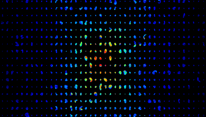 lymph nodes arranged in a grid, with the amount of antigen represented from blue (less) to red (more)
