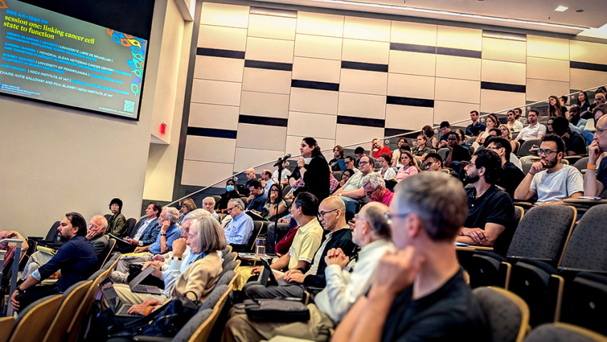 A person stands at a microphone in the middle of a lecture hall