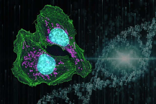 cell and DNA strand