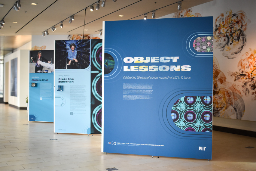 An accordion of exhibit walls in blue, with the exhibit title on the first panel