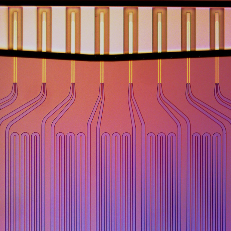 Microchannel device array with pink schematic