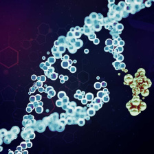 Golden particles join a DNA strand.