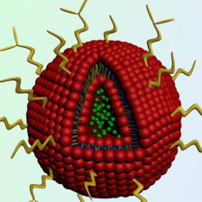 nanoparticle containing the cancer drug doxorubicin