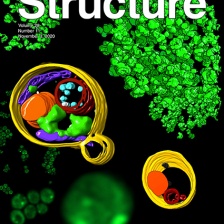 cover of the journal Structure