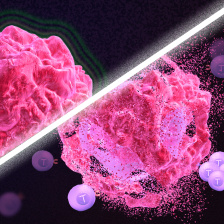 illustration: comparison between two cells, one with immune cells surrounding it