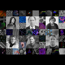 Six professors framed in a mosaic of nanotechnology images