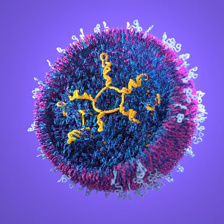a ring of mRNA molecules with 5 double helix prongs inside a spheroid nanoparticle