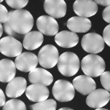 Shimmering pill-like hydrogel particles