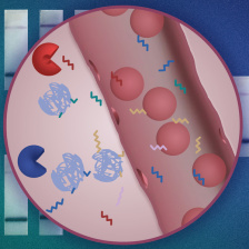 A circle inset showing barcoded nanoparticles and cells in the bloodstream against a background of test strips.