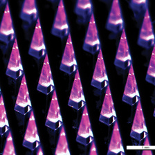 Close up view of microneedles, showing several rows of pink, pointy pyramids
