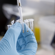 A gloved hand holds a row of small plastic tubes, with a pipette inserted into one of them