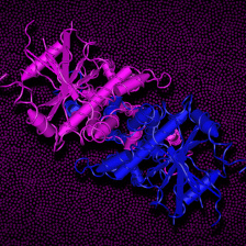 Illustration of the STING protein in curly ribbons and tangled strings