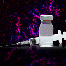 Syringe and vaccine vial