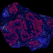 Scientific image featuring blue and purple splotches
