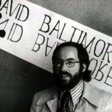 Black and white photo of a bearded man in very 70s apparel standing in front of a banner with "David Baltimore" and the mirror image text'