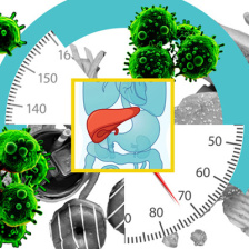 High-fat foods, sections of a bathroom scale, and cancer cells around an image of a liver.