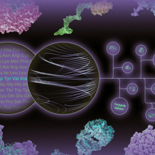 Two circles show protein abbreviations and whirling computations. They produce a tree of complex new molecules. 