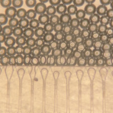 Side of tiny device shows pipettes releasing microspheres. 
