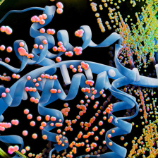 A DNA strand floats above a petri dish with yeast mold.