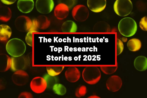 Red, green and yellow circles with a black rectangle with a red border in the center and the text "The Koch Institute's Top Research Stories of 2025"