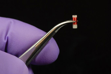 tiny sensor held by forceps