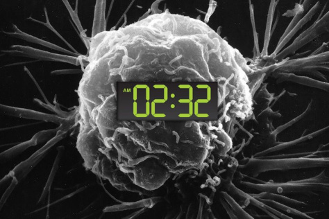 tumor with digital clock superimposed on it
