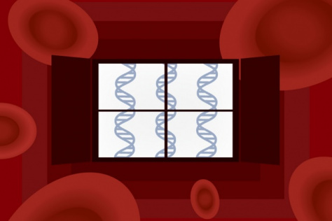 illustration of red blood cells with a window opening to DNA strands