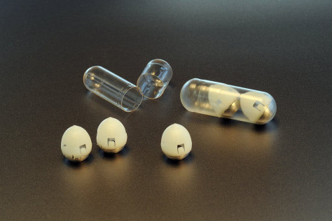 tortoise shell-shaped pill with miniature post made of insulin