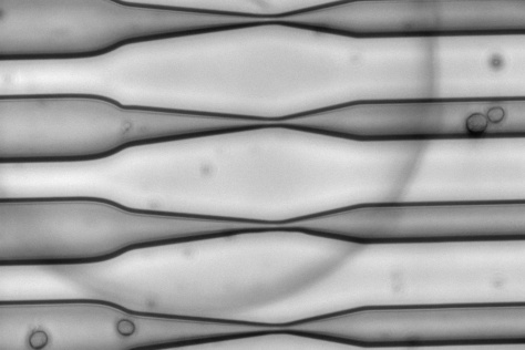 closeup of CellSqueeze’s microfluidic channels