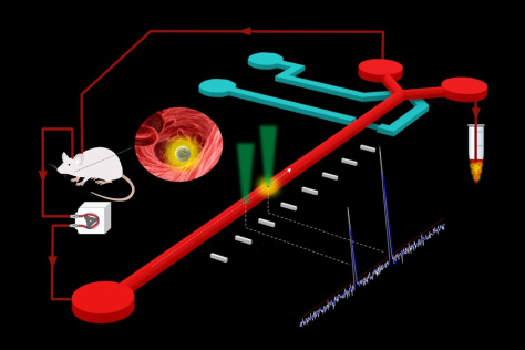 platform that detects and extracts rare circulating tumor cells from live mouse models using a combination of laser excitation and a microfluidic chip