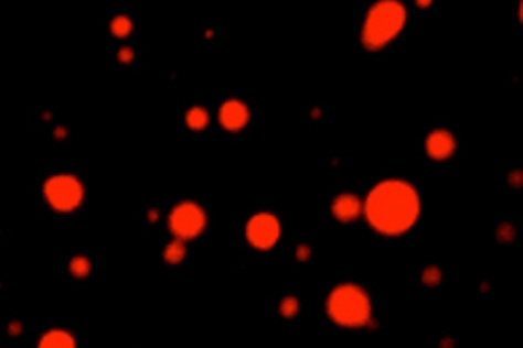 red dots on a black background