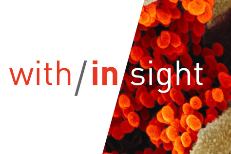 text on graphic: with/in/sight over coronavirus in red and gold