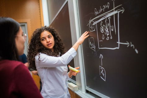 Ava Soleimany explains chalkboard diagram to student