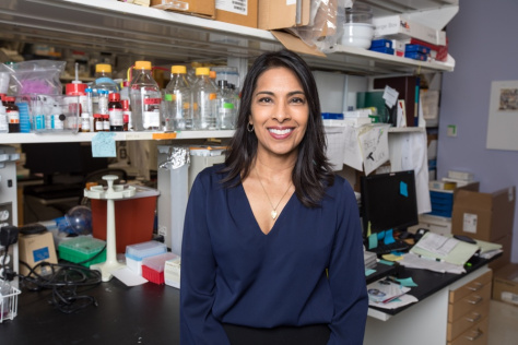 Sangeeta Bhatia in front of a lab bench