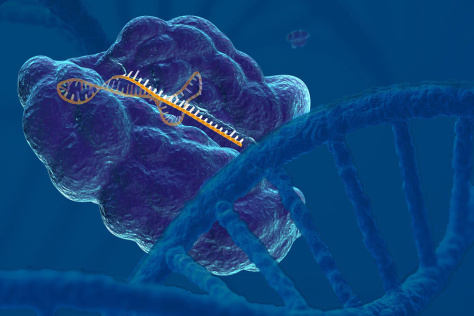 illustration of CRISPR-Cas9 complex