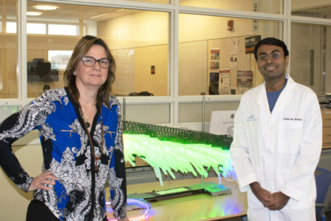 Angela Belcher and Neel Bardhan with their bacteriophage model