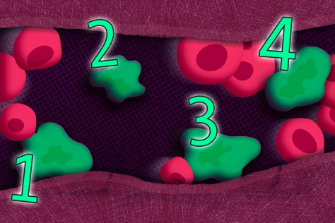 illustration of numbers and blood cells in a blood vessel