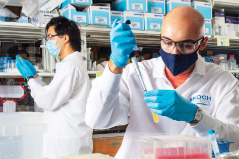 two men working at lab benches