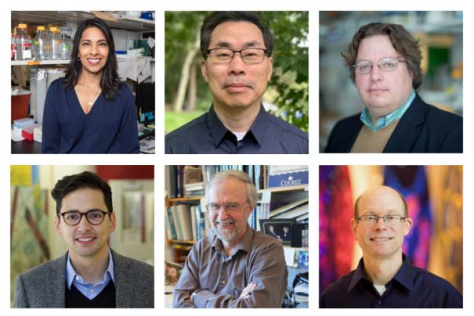 six-panel composite of research team members