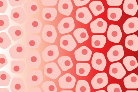 abstract illustration of many cells with nuclei