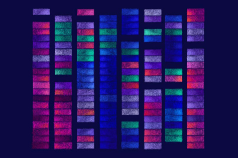multicolored grid of rectangles illustrating sensitivity of cancer cell lines to drugs