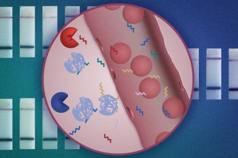 A circle inset showing barcoded nanoparticles and cells in the bloodstream against a background of test strips.